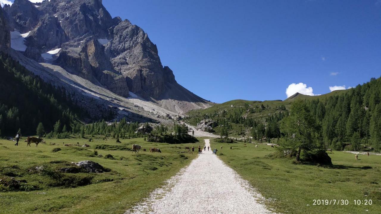 Il Covo Dello Sciatore ฟัลกาเด ภายนอก รูปภาพ
